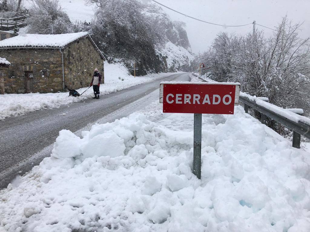 El paso de las borrascas 'Dora' y 'Ernest' ha dejado una situación «realmente complicada» en las carreteras de Asturias, en palabras del consejero de Cohesión Territorial, Alejandro Calvo. La nieve y, sobre todo, los desprendimientos y crecidas de ríos han obligado a movilizar efectivos para evitar la incomunicación de los pueblos más afectados