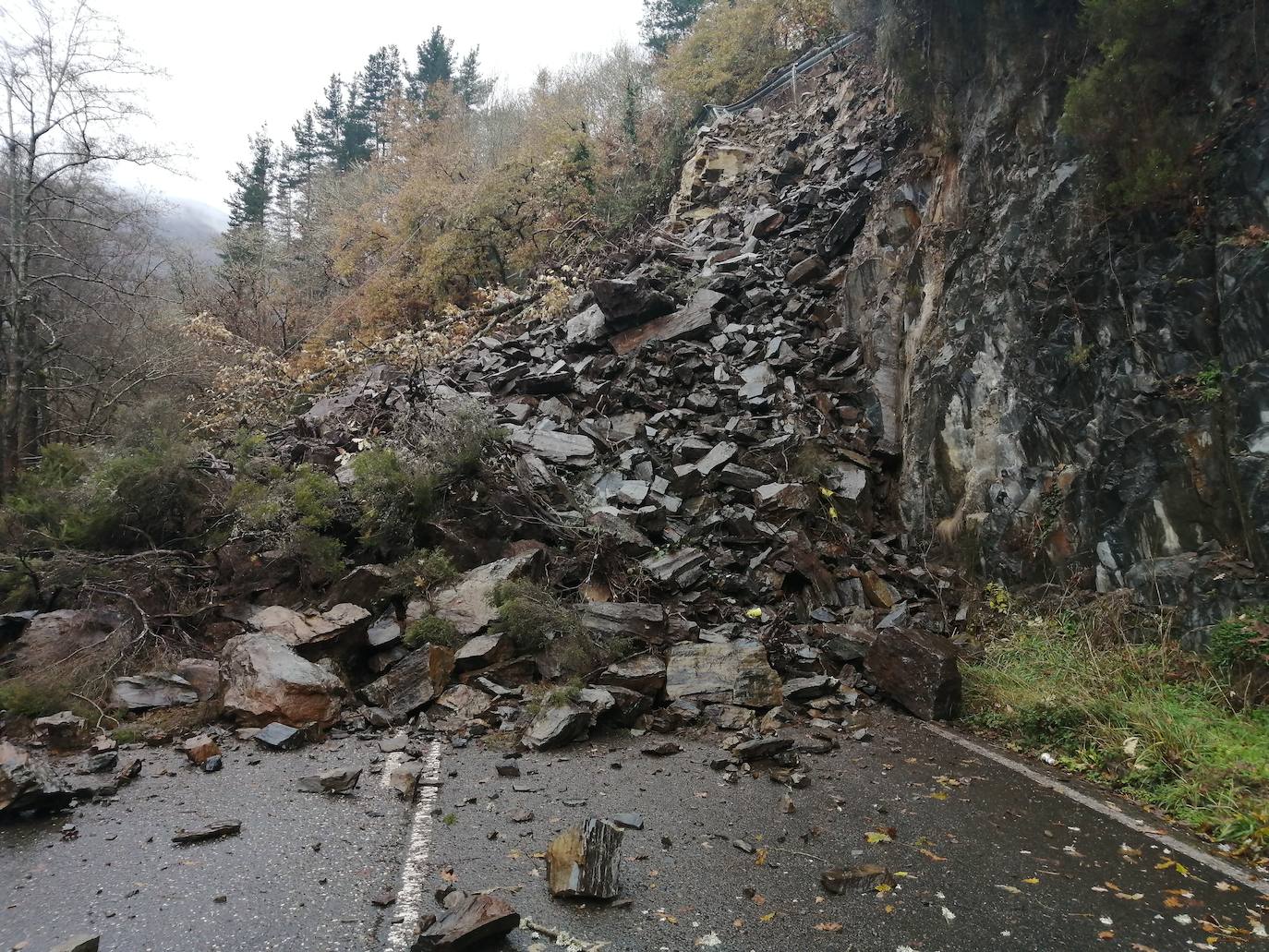 El paso de las borrascas 'Dora' y 'Ernest' ha dejado una situación «realmente complicada» en las carreteras de Asturias, en palabras del consejero de Cohesión Territorial, Alejandro Calvo. La nieve y, sobre todo, los desprendimientos y crecidas de ríos han obligado a movilizar efectivos para evitar la incomunicación de los pueblos más afectados