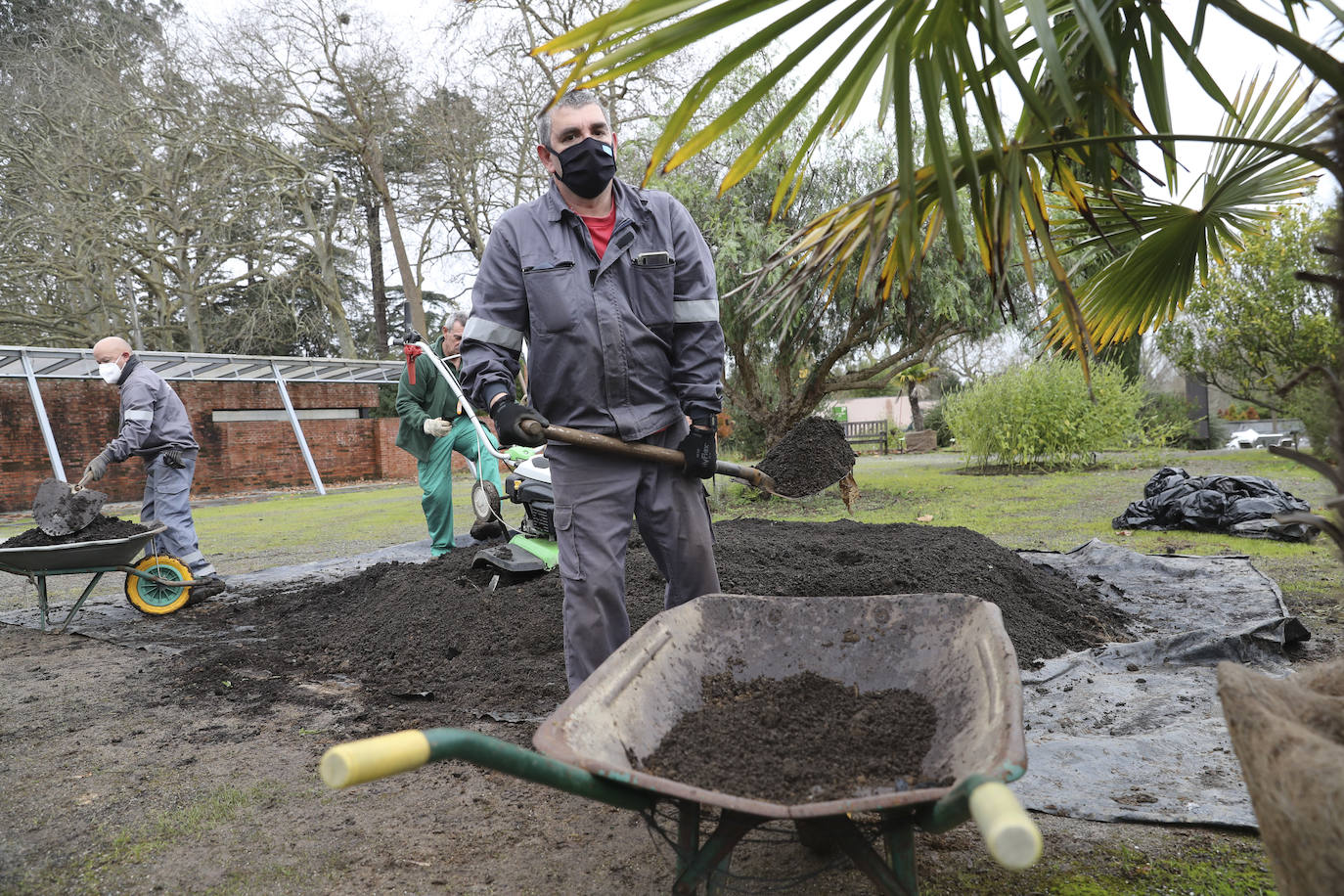 El Jardín Botánico Atlántico de Gijón reabre sus puertas a partir de este viernes, después de varias semanas de cierre obligatorio a causa de la pandemia, y los trabajadores de las instalaciones han dado los últimos retoques para recibir a los primeros visitantes. El horario de apertura será el habitual, de 10 a 18 horas, aunque los lunes permanecerá cerrado. No obstante, y con motivo de la llegada de la Navidad, del 18 de este mes al 10 de enero habrá jornadas de puertas abiertas con programación y el Belén Monumental. El Botánico estará por ello abierto todos esos días. 