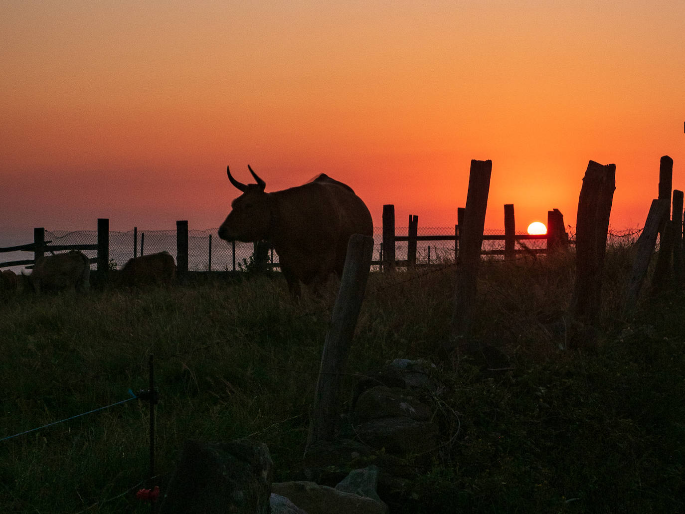 El paisaje de Asturias nos deja espectaculares estampas al atardecer. Son auténticas imagenes de postal que muestran la belleza y el colorido de la región.