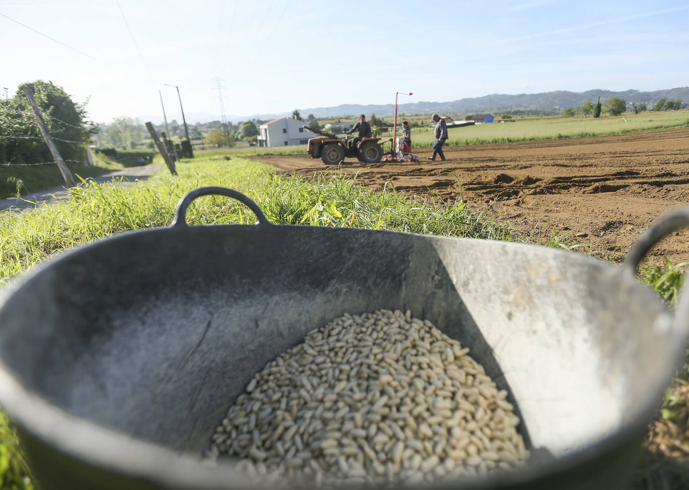 El sector agroalimentario asturiano recibirá ayudas para su modernización