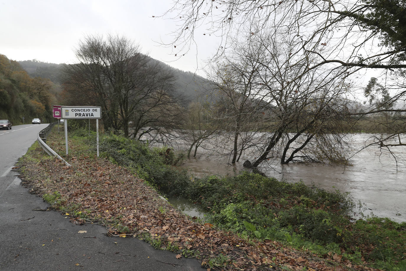 El Principado de Asturias ha activado el plan de inundaciones por el riesgo de desbordamiento de los ríos debido el aumento del caudal por las intensas precipitaciones en forma de lluvia y nieve registradas en los últimos días y ante la previsión de una «posible evolución desfavorable».