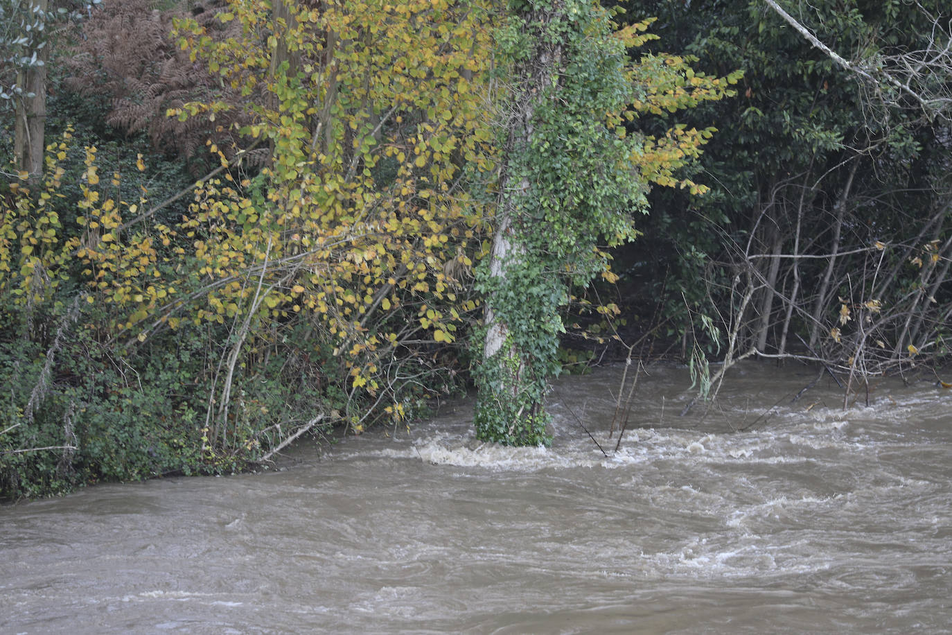 El Principado de Asturias ha activado el plan de inundaciones por el riesgo de desbordamiento de los ríos debido el aumento del caudal por las intensas precipitaciones en forma de lluvia y nieve registradas en los últimos días y ante la previsión de una «posible evolución desfavorable».