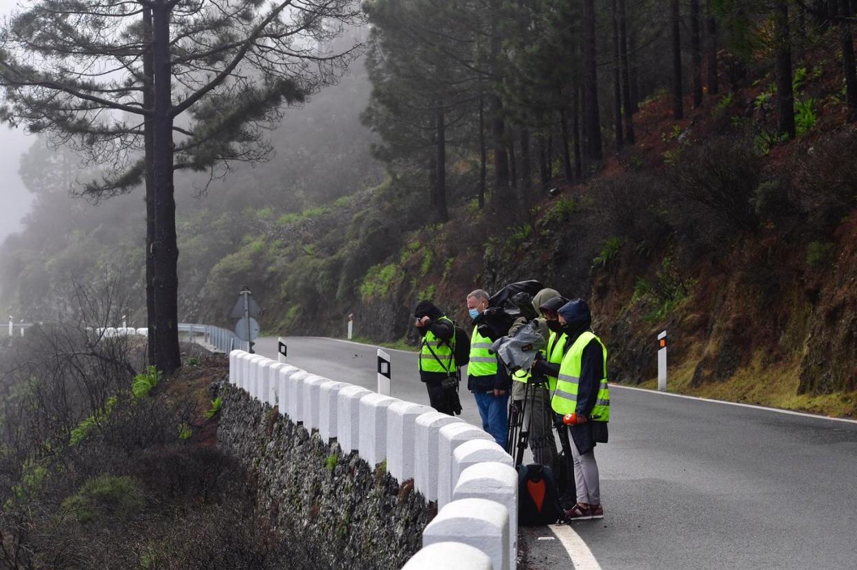 Periodistas gráficos de Gran Canaria observan el barranco por el que se precipitó el vehículo de los García Bolaños. 