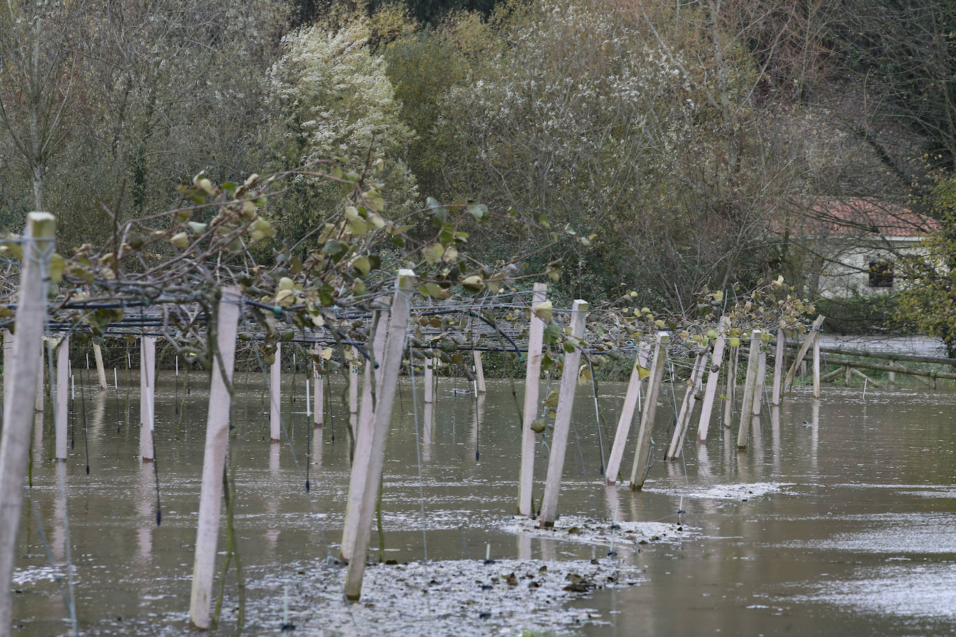 El Principado de Asturias ha activado el plan de inundaciones por el riesgo de desbordamiento de los ríos debido el aumento del caudal por las intensas precipitaciones en forma de lluvia y nieve registradas en los últimos días y ante la previsión de una «posible evolución desfavorable».