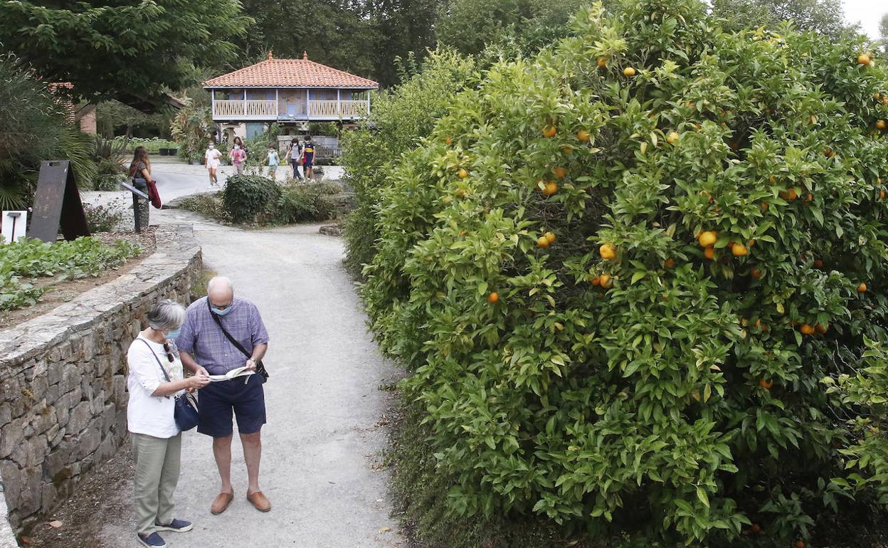 El Jardín Botánico 