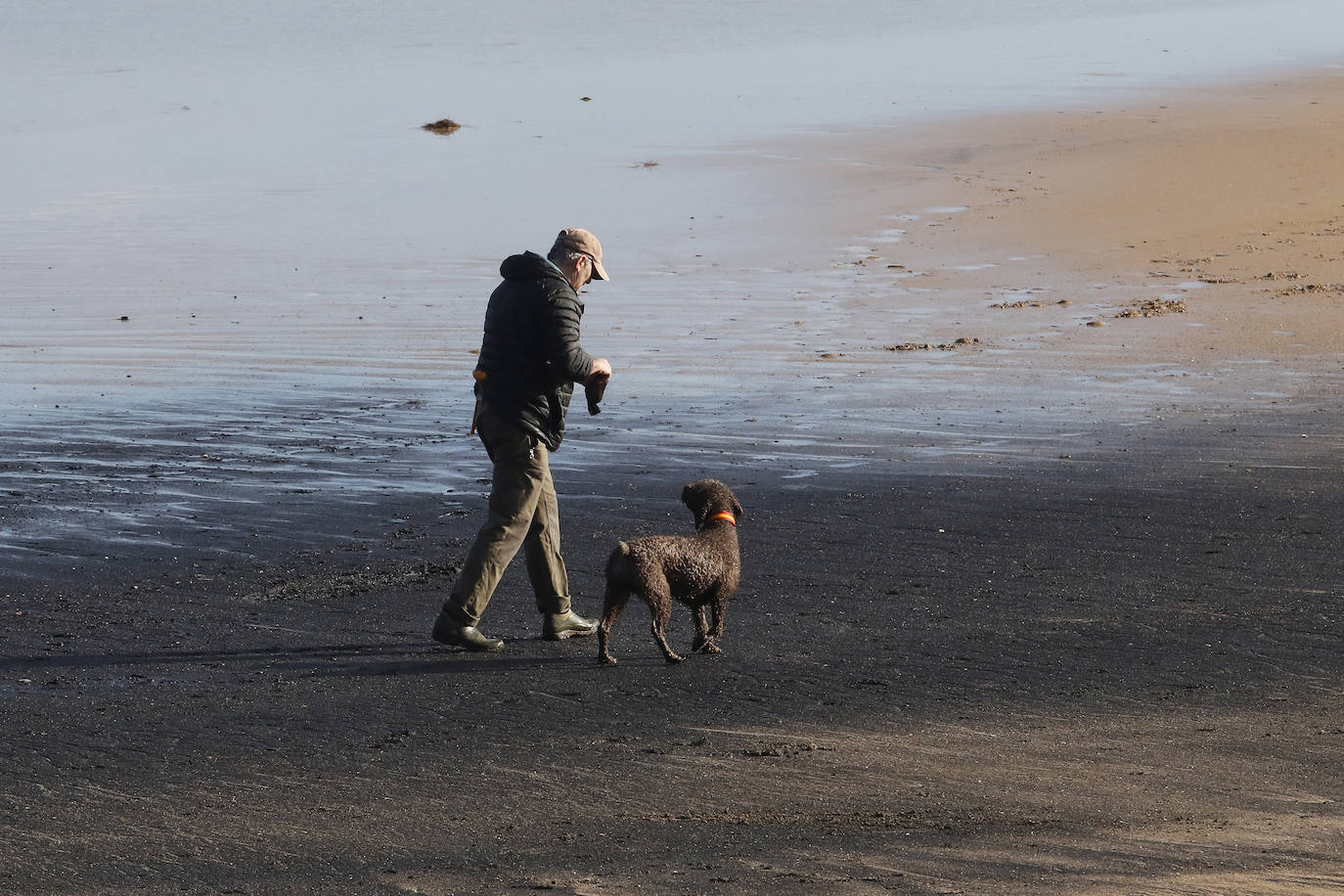 La playa de San Lorenzo de Gijón ha amanecido cubierta de carbón este jueves, casualmente coincidiendo con el día en el que se presentaban las conclusiones del estudio del laboratorio de Petrografía del Incar. Esta investigación atribuye a El Musel las manchas en el arenal gijonés. Apunta a la carga y descarga de carbón en los muelles y descarta que el material llegue por el viento. 