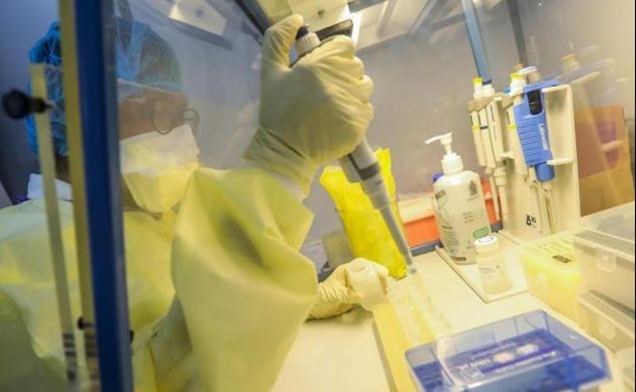 Coronavirus en Asturias: Gijón y Oviedo, en nivel medio de riesgo y Avilés, muy alto