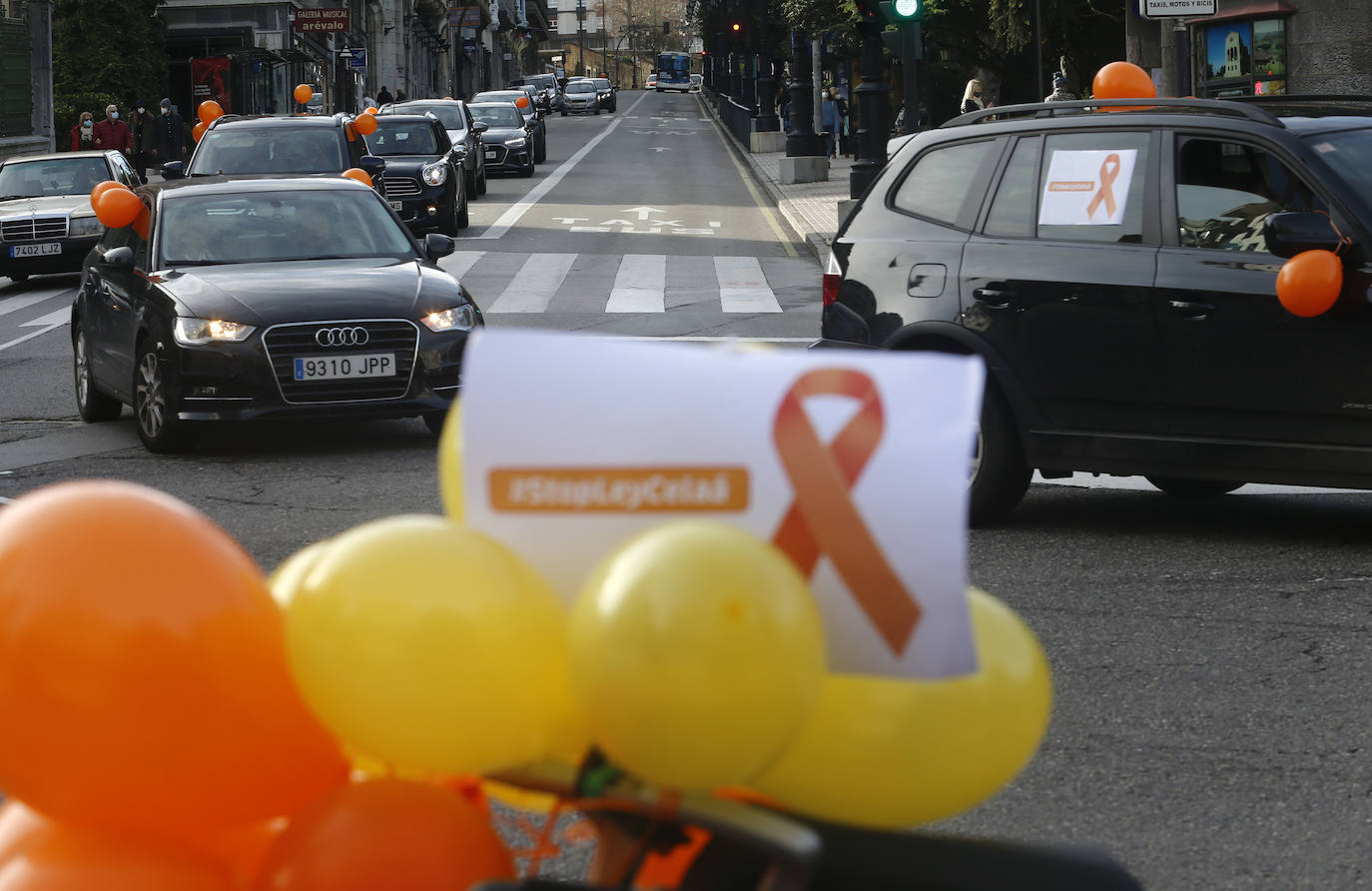 Las manifestaciones de coches recorrieron las calles de Oviedo y Gijón.