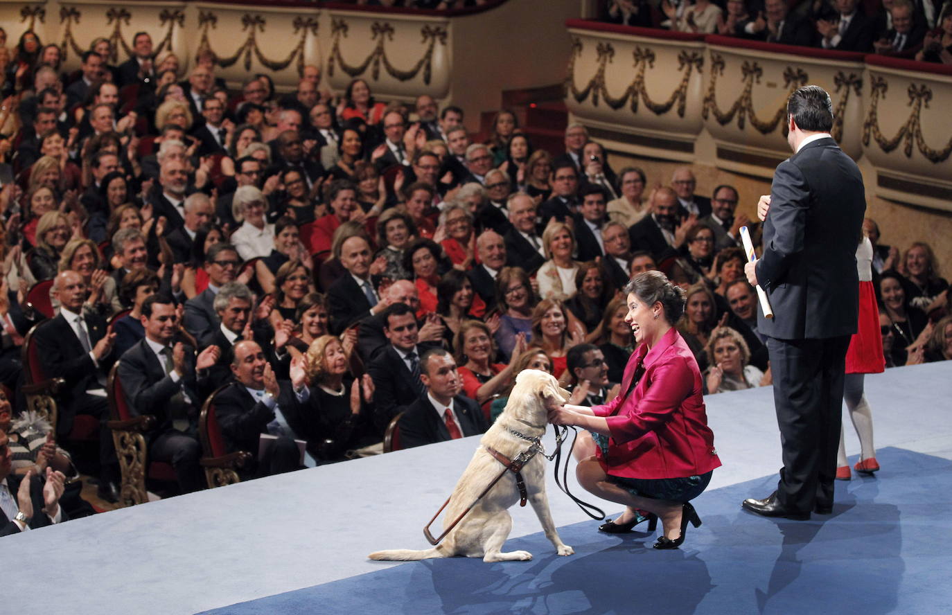 Un perro guía asiste a la entrega de los premios Príncipe de Asturias en 2013