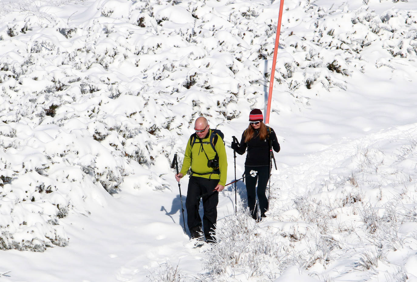 La instalaciones invernales de Asturias continúan cerradas. Igualmente, los amantes del esquí acudieron este sábado a disfrutar de un día soleado.