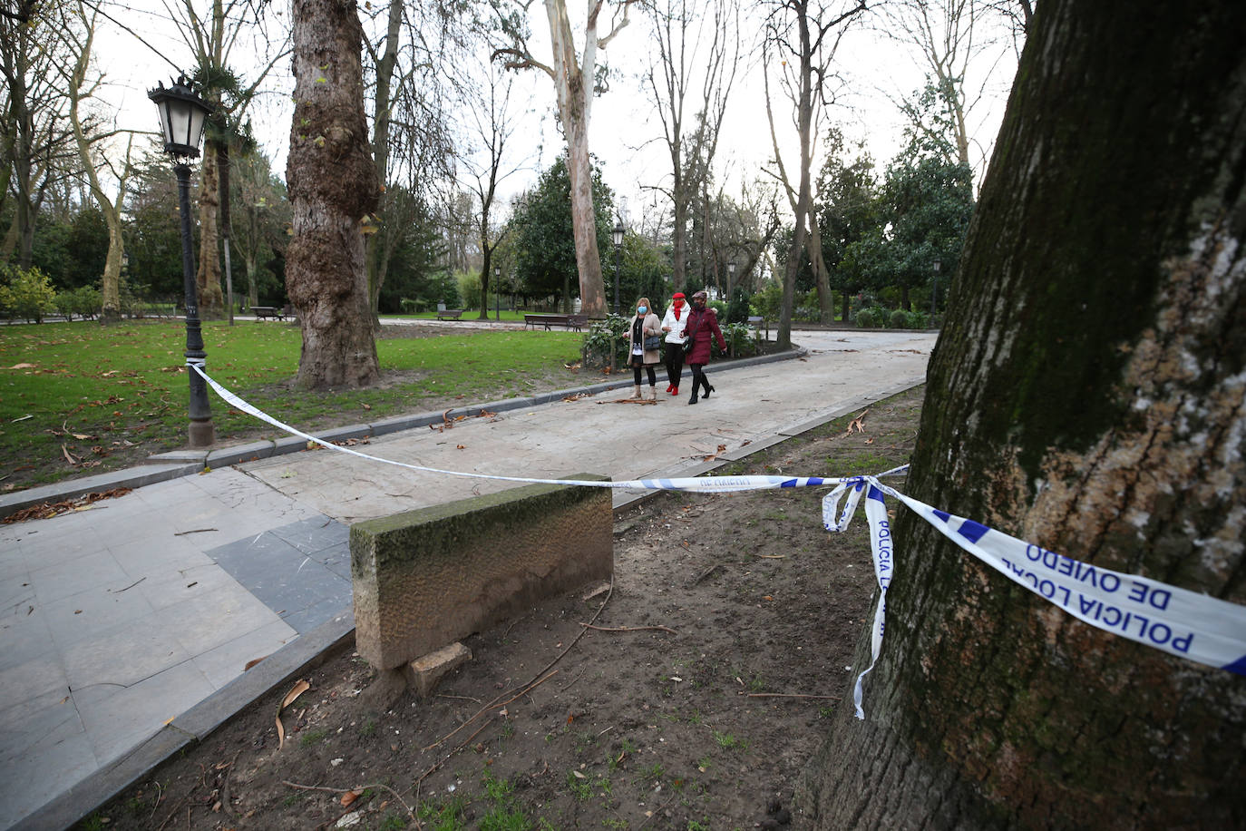 La borrasca 'Bella' que azota la cornisa Cantábrica deja rachas de hasta 110 kilómetros por hora y olas de diez metros en la región.
