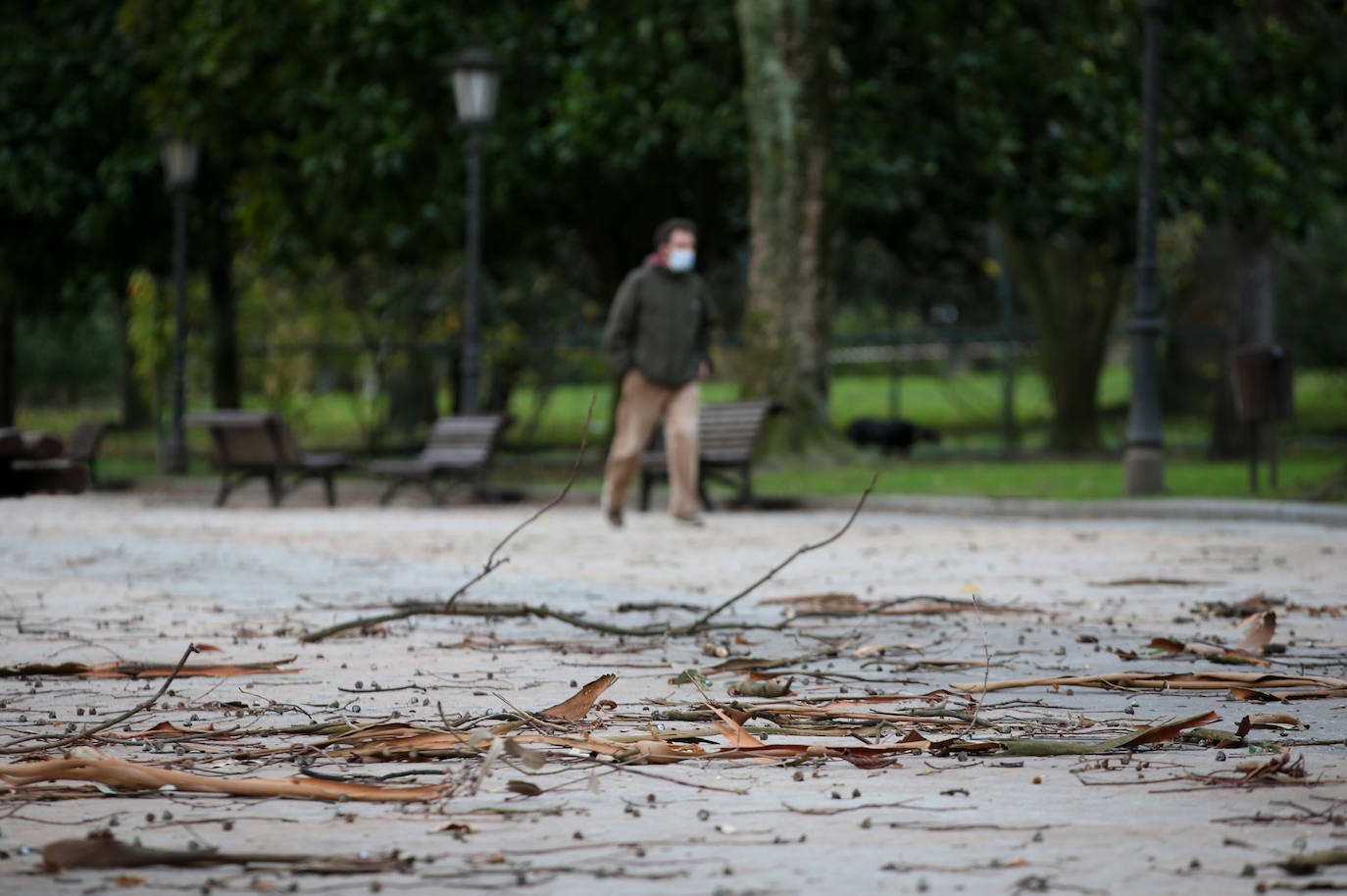 La borrasca 'Bella' que azota la cornisa Cantábrica deja rachas de hasta 110 kilómetros por hora y olas de diez metros en la región.