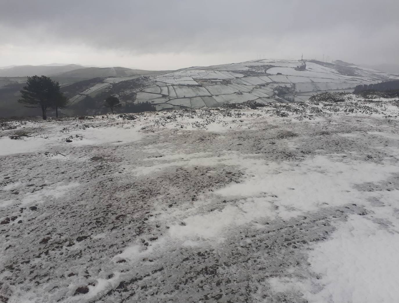 La borrasca 'Bella' ha provocado más de 1.900 incidencias en Asturias y complica las comunicaciones. La nieve acumulada en las últimas horas, que ha cerrado el puerto del Connio, obliga a usar cadenas en 15 altos de montaña. Los fuertes vientos han procovado la caída de árboles y la Aemet mantiene el litoral del Principado en alerta roja por olas de hasta diez metros 