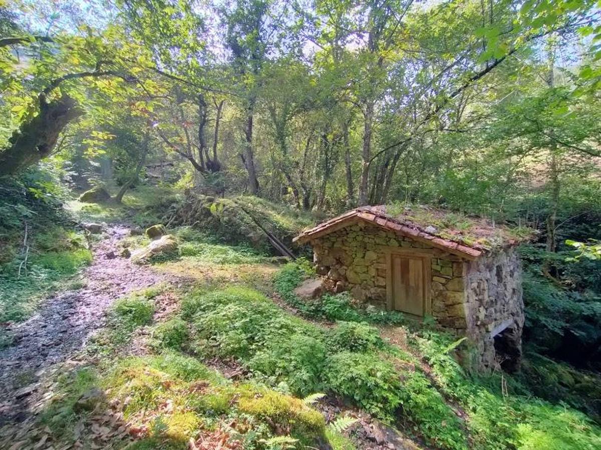 Ruta de los molinos de Corroriu: A través de esta ruta circular, corta, sencilla y bien señalizada conocerás los tres molinos de Corroriu en los que aún se muele la escanda y a los que podrás acceder a través de un agradable paseo repleto de zonas de bosque y en uno de los parajes más especiales de Quirós. Este recorrido circular que parte desde la entrada del pueblo de Vega de Arrojo, además es de poco más de 4 km.