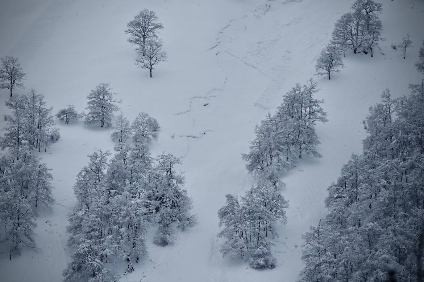 Temporal de frío y nieve en Asturias