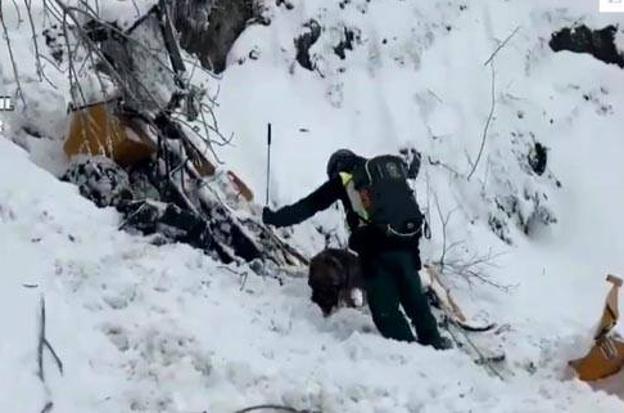 Un miembro de los equipos de rescate busca con un perro entre los restos de la máquina quitanieves.