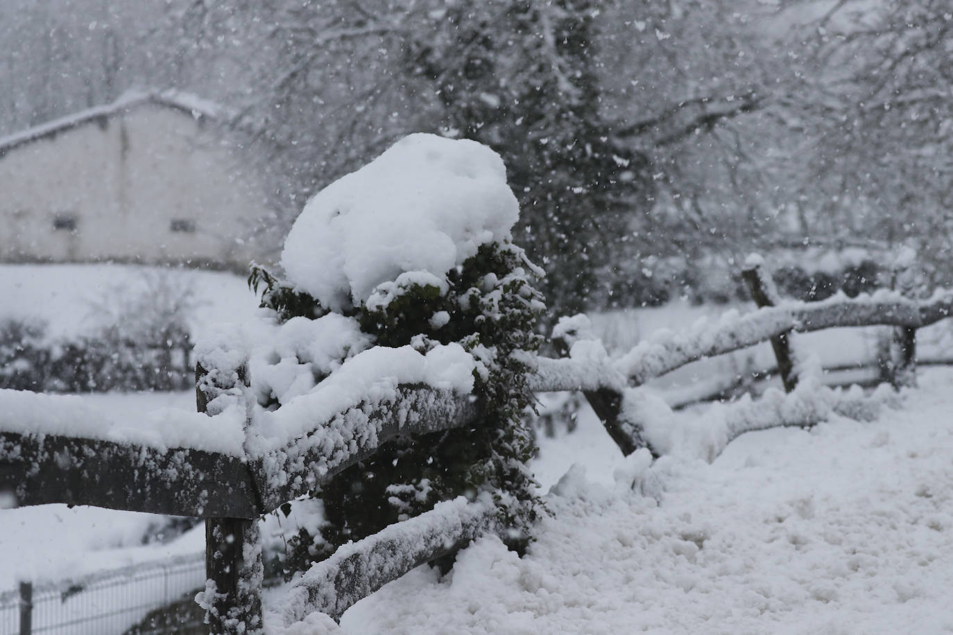 Nieve en las cotas altas, lluvia que no cesa en el litoral. El temporal no da tregua en Asturias y está complicando mucho la circulación en las zonas de montaña y anegando algunos puntos.