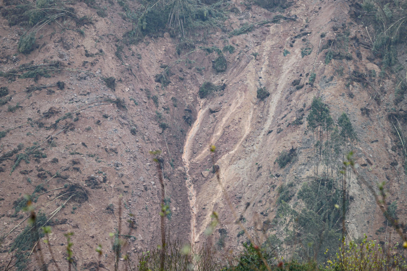 La ladera de un monte de Villaviciosa se derrumba por completo, sepultando parte de un camino