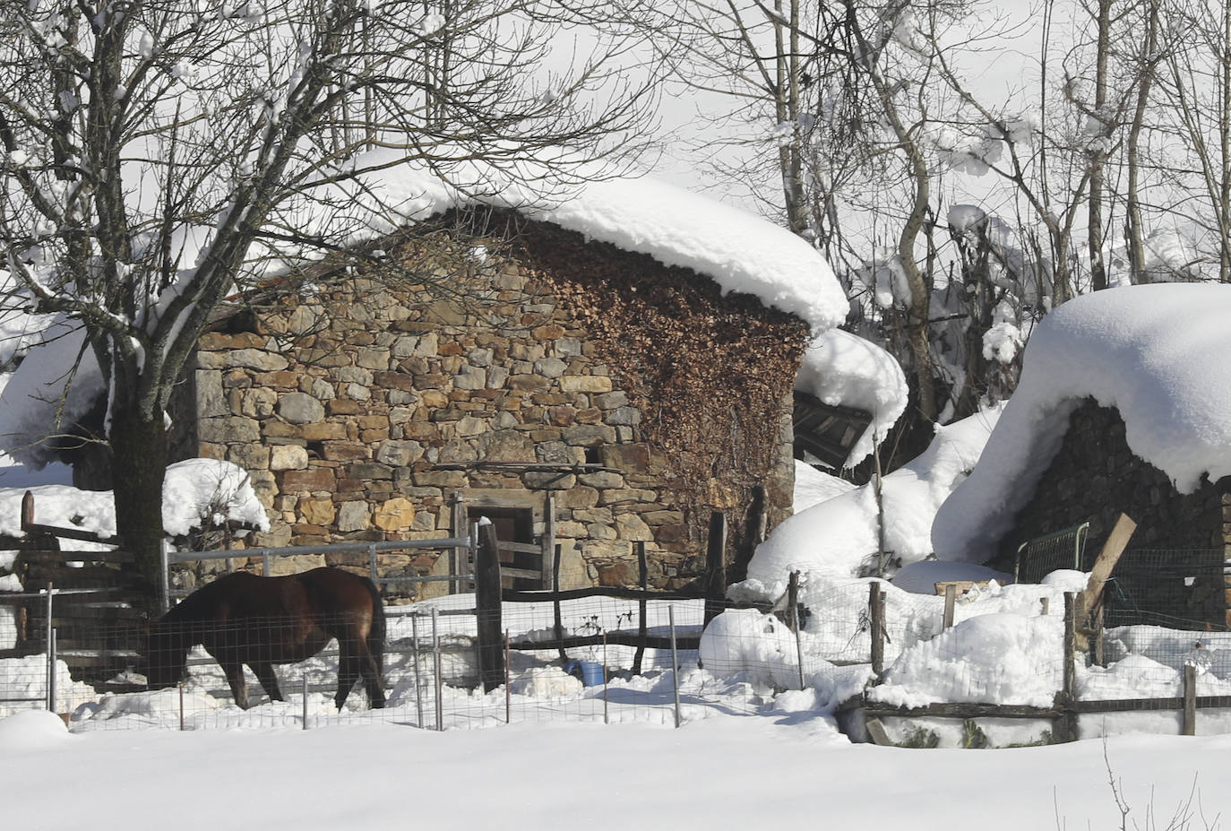 El temporal sigue sin dar tregua a Asturias. La Aemet ha decretato la alerta por las bajas temperaturas, que pueden llegar incluso a los -8ºC.