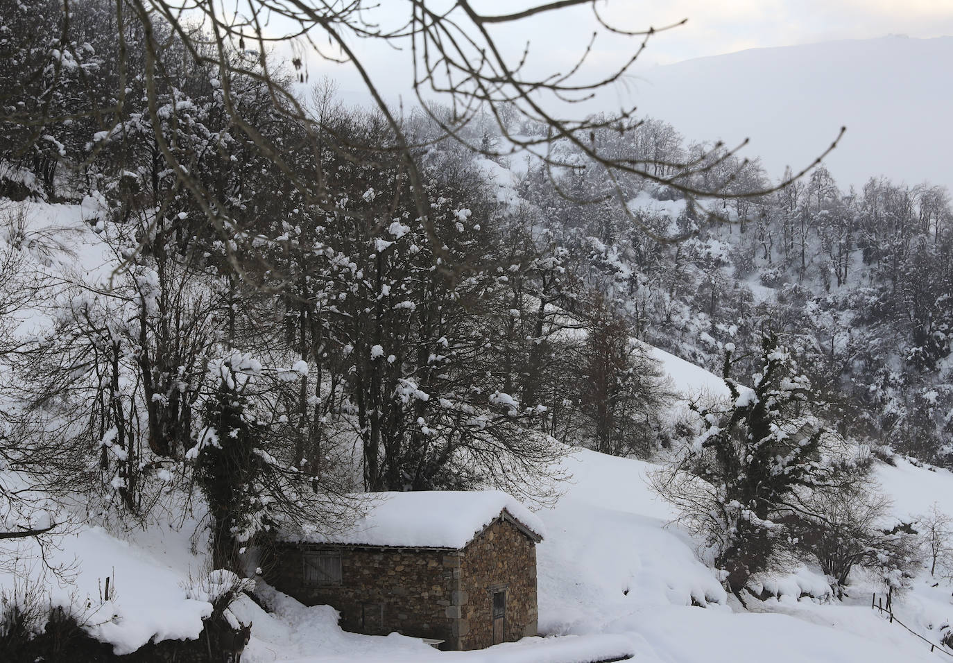 El temporal sigue sin dar tregua a Asturias. La Aemet ha decretato la alerta por las bajas temperaturas, que pueden llegar incluso a los -8ºC.