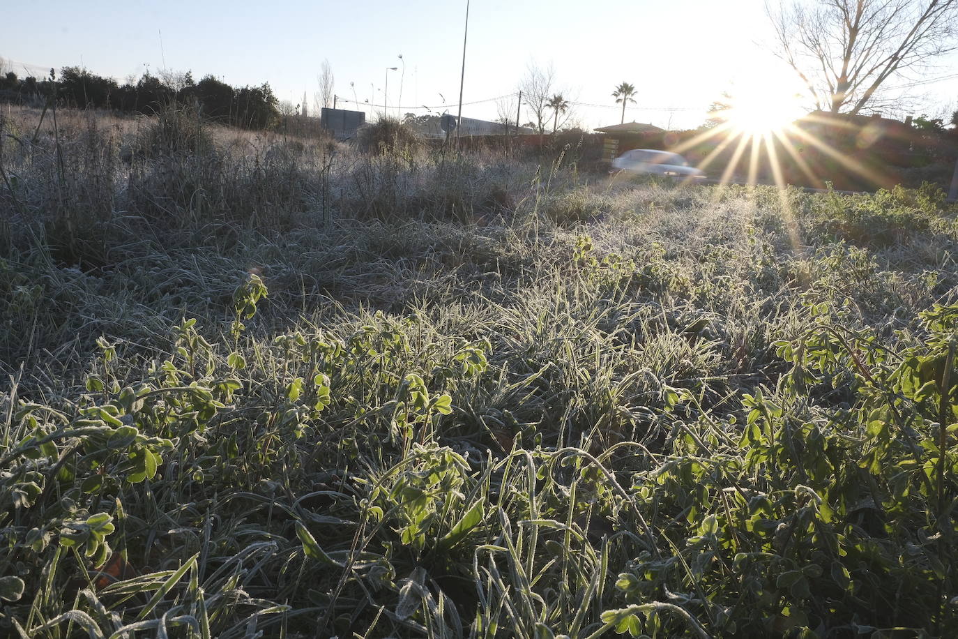 El intenso frío ha invadido buena parte del país, hasta el punto de poner a Asturias en alerta a causa de las bajas temperaturas registradas en las últimas horas. Una alerta que segurá activa en la región al menos hasta el próximo sábado. Durante este jueves, los termómetros han llegado a registrar temperaturas récord: a las 8 de la mañana el mercurio marcaba 35,8 grados bajo cero en Picos de Europa. 