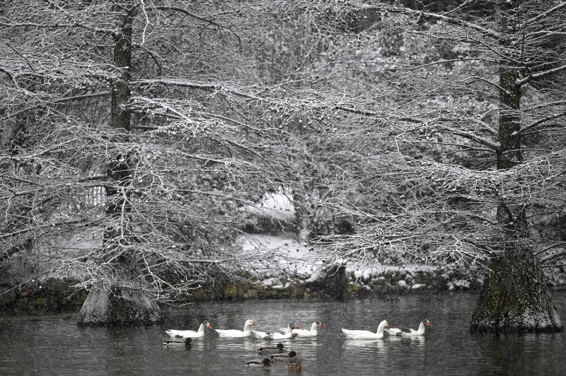 El temporal está dejando impresionantes nevadas en todo el país, desde Asturias a Murcia, pasando por Madrid o Valencia. 