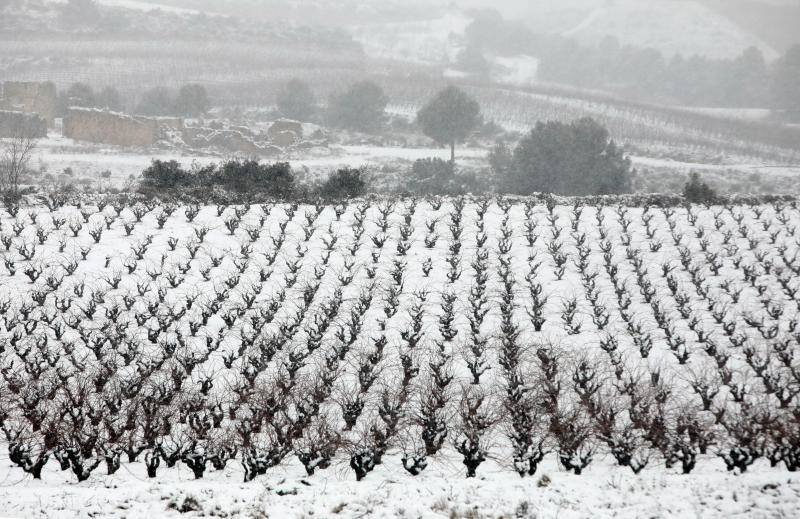 El temporal está dejando impresionantes nevadas en todo el país, desde Asturias a Murcia, pasando por Madrid o Valencia. 