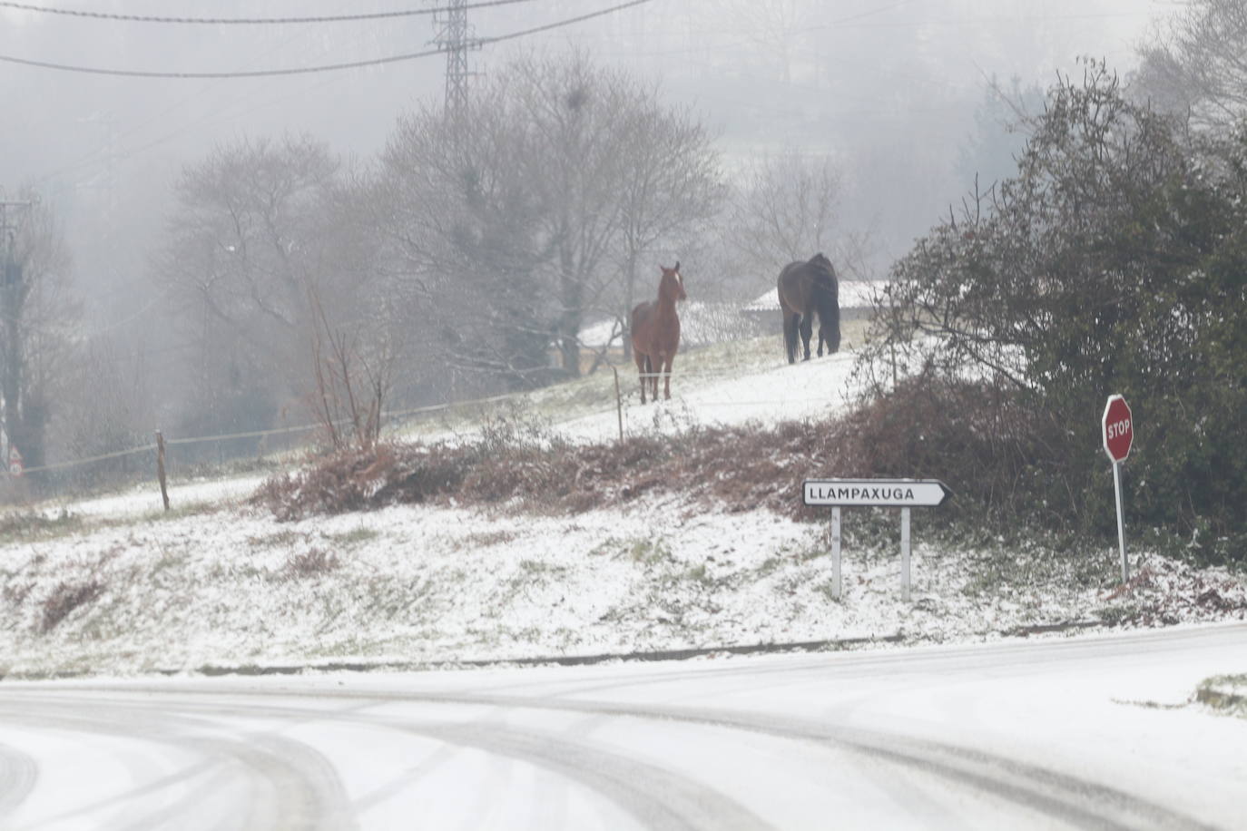 La borrasca deja nevadas y mucho frío en la región, que permanecerá en alerta todo el fin de semana.