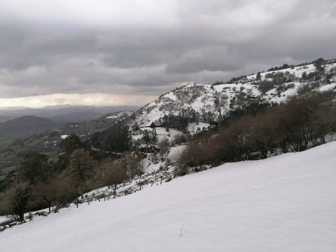 El 27 por ciento de las carreteras asturianas están cerradas o con cadenas y los escolares de cuarenta concejos no podrán volver a clase hasta el miércoles.