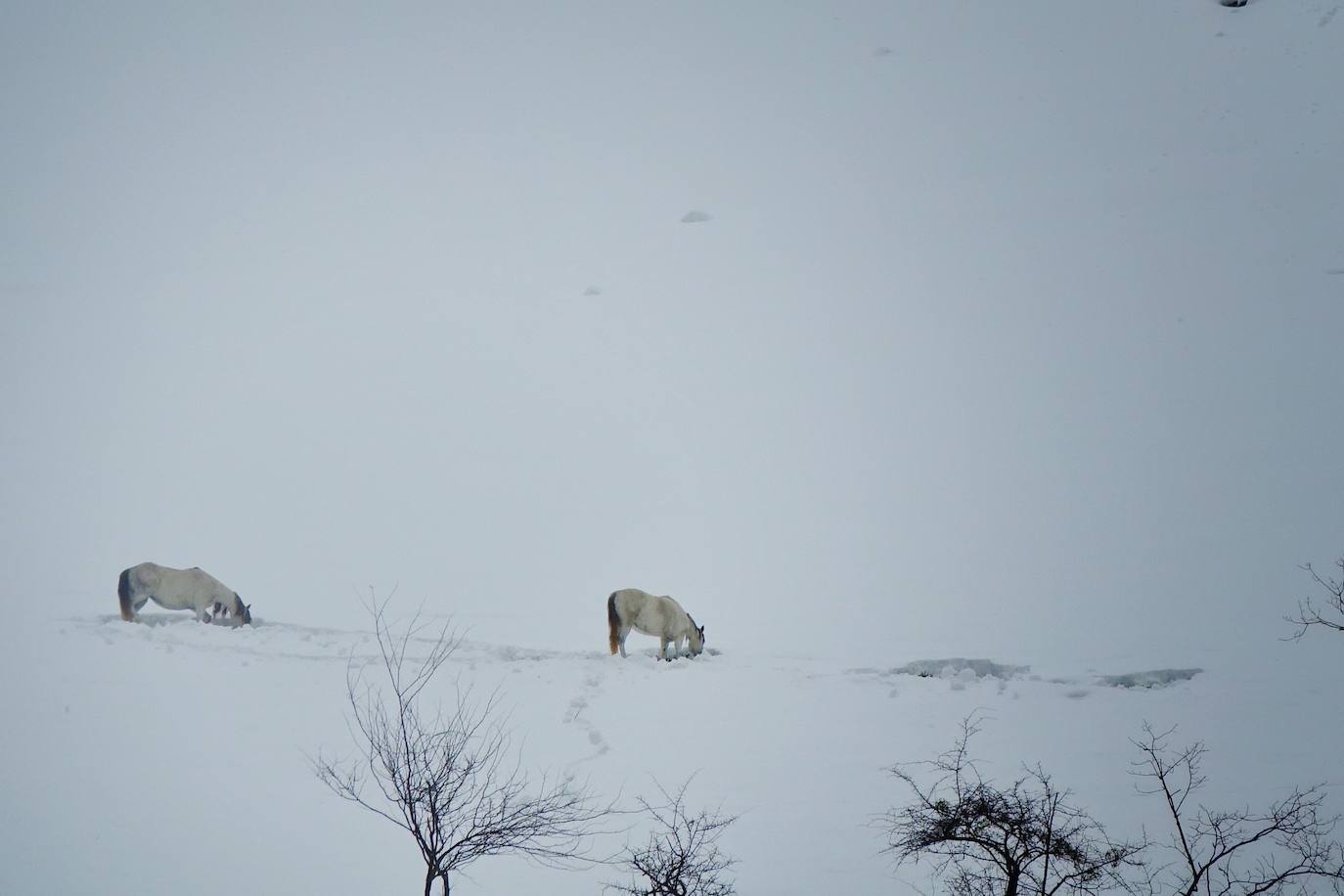 La nieve acumulada durante los pasados días y el hielo continúan protagonizando las estampas de buena parte de la región. 