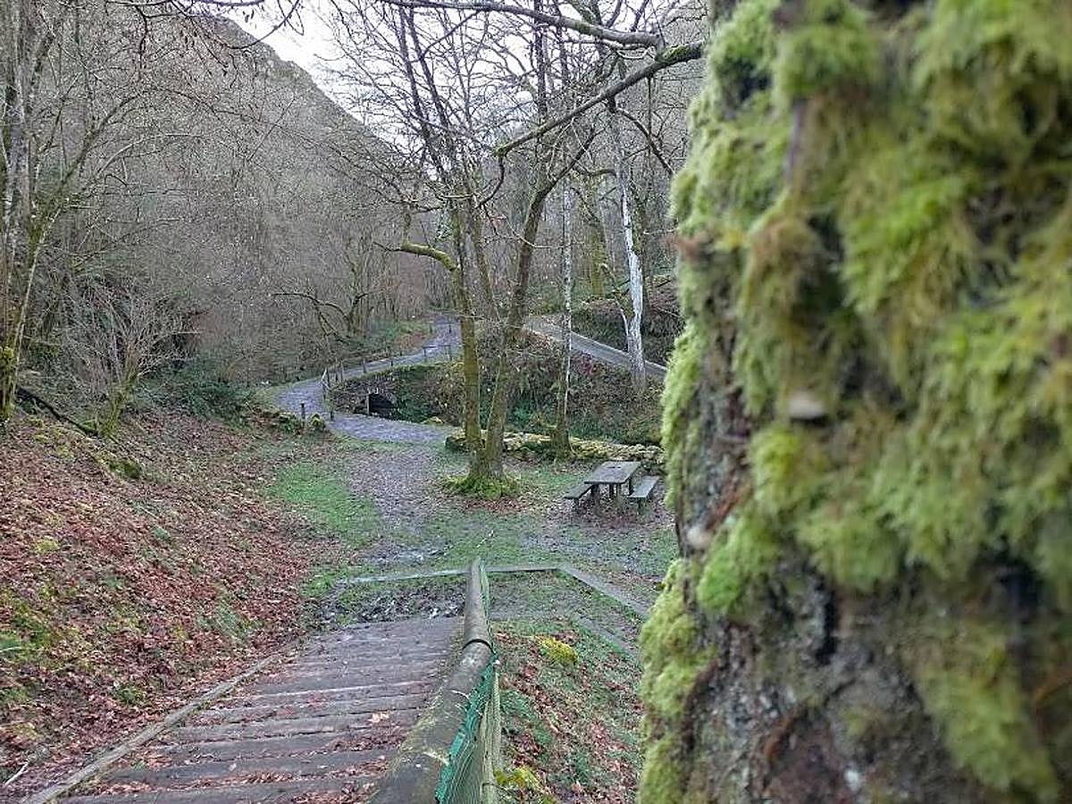 Fotos: Un paseo hasta la Cascada del Chorrón