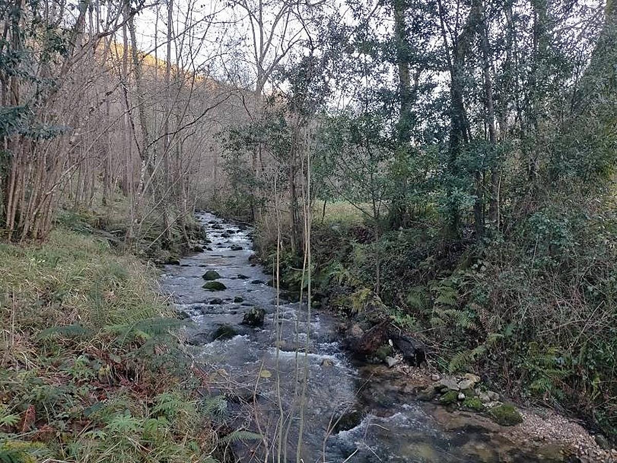 Fotos: Un paseo hasta la Cascada del Chorrón