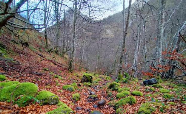 Los grupos de montaña suspenden las rutas programadas para enero