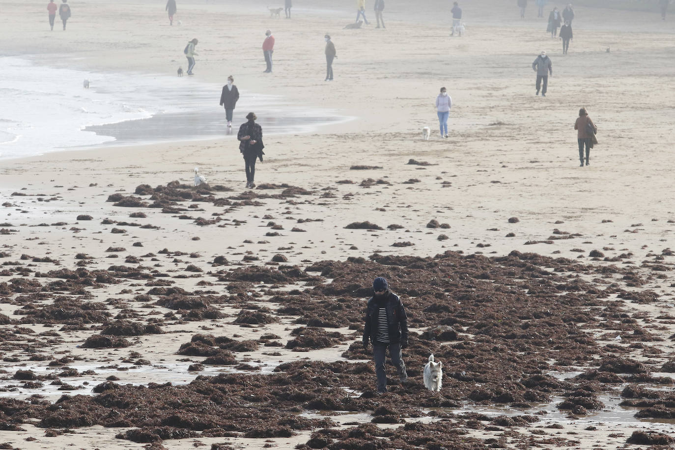 El arenal gijonés de San Lorenzo ha aparecido este martes cubierto por una capa de ocle. 