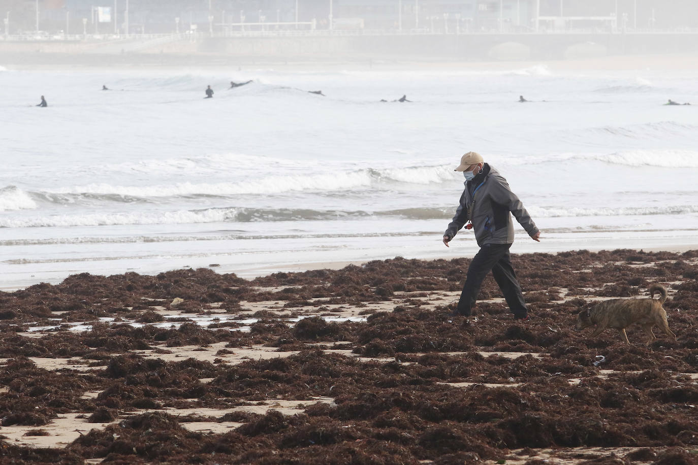 El arenal gijonés de San Lorenzo ha aparecido este martes cubierto por una capa de ocle. 