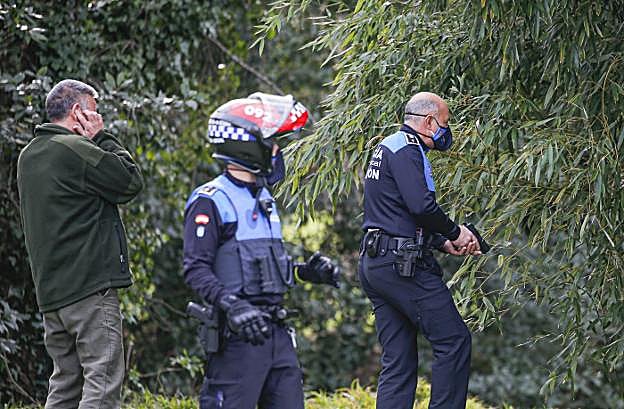Arriba, el jabalí junto a los edificios de Viesques. A la izquierda, momentos antes de ser abatido por la Policía. 