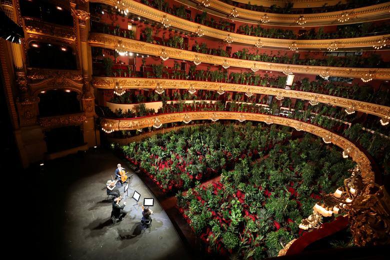 Las plantas de vivero colocadas en los asientos durante un ensayo antes de que la ópera del Gran Teatre del Liceu de Barcelona celebrara un concierto para plantas para crear conciencia sobre la importancia de una audiencia después del cierre del coronavirus, en Barcelona