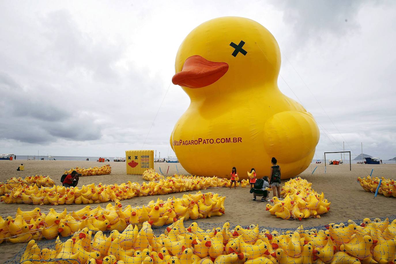 Una playa, llena de patos de plástico 