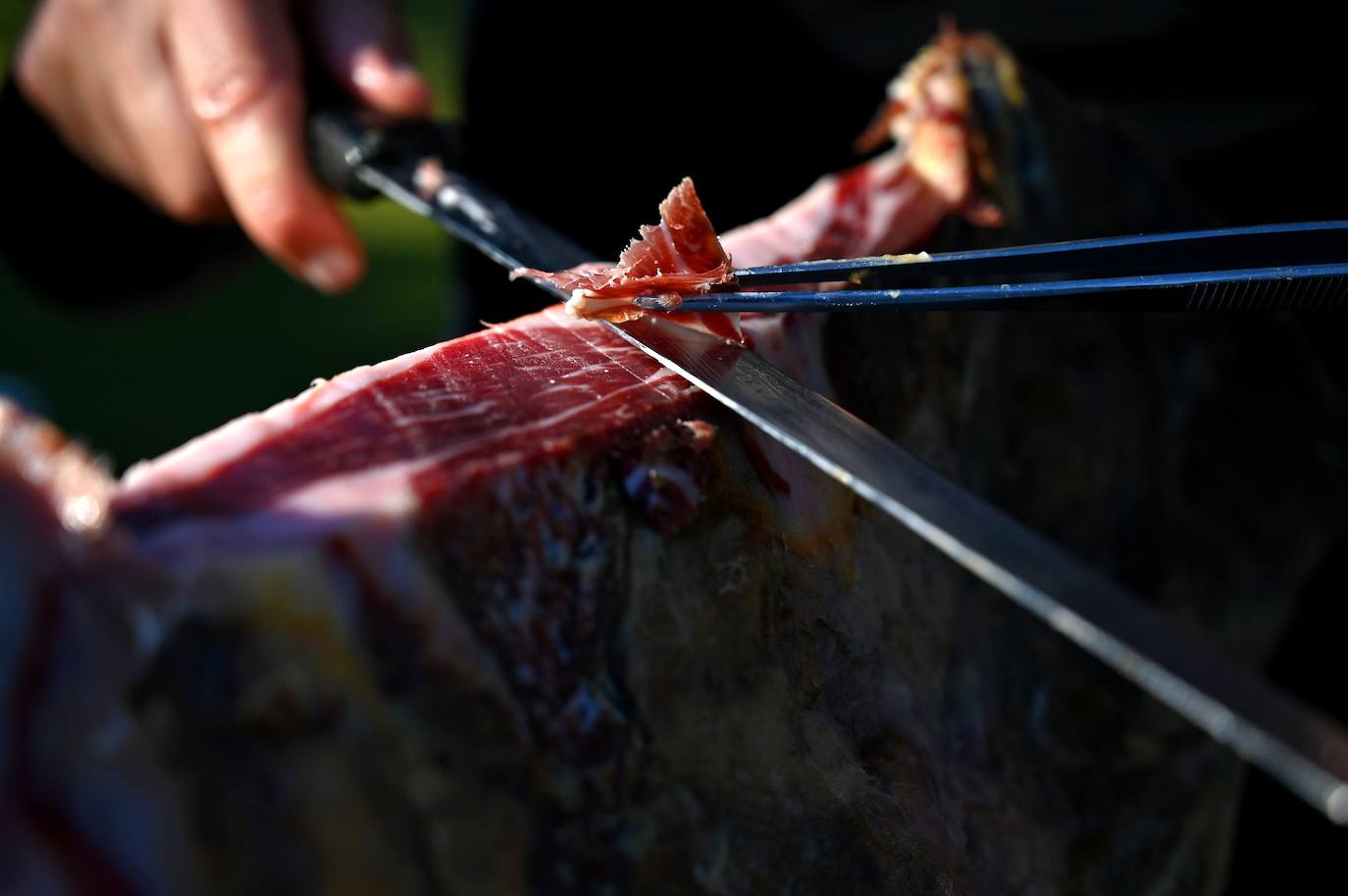 El jamón ibérico es el nombre que se da exclusivamente a los jamones procedentes del cerdo ibérico, o raza negra ibérica. El secreto de su sabor se debe a la dieta de bellotas de los cerdos. Los animales de las imágenes se alimentan en un amplio campo verde en Membrio, cerca de Cáceres. 
