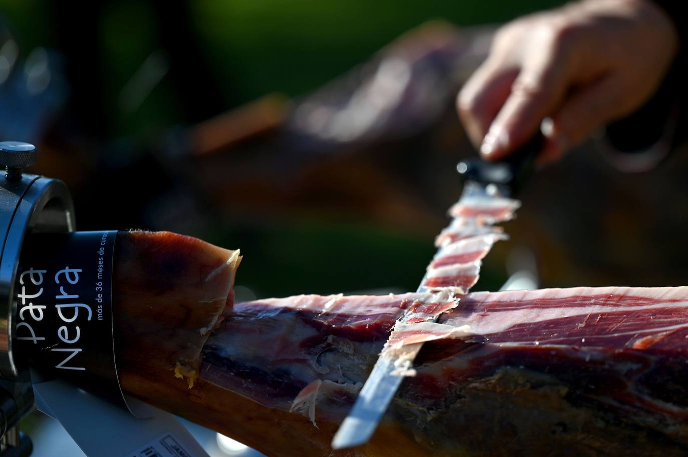 El jamón ibérico es el nombre que se da exclusivamente a los jamones procedentes del cerdo ibérico, o raza negra ibérica. El secreto de su sabor se debe a la dieta de bellotas de los cerdos. Los animales de las imágenes se alimentan en un amplio campo verde en Membrio, cerca de Cáceres. 