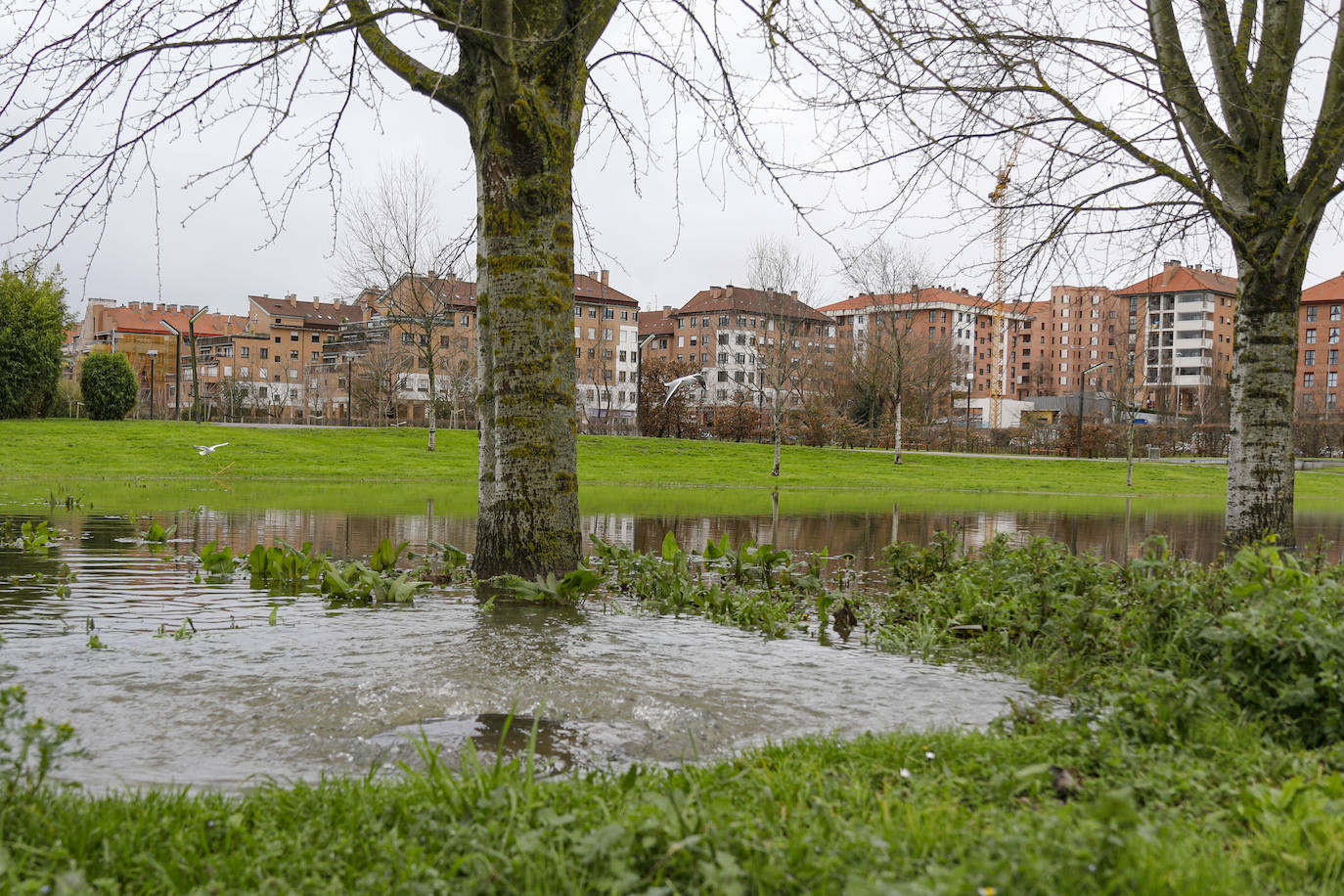 Fotos: Los estragos del deshielo y la lluvia incesante en Asturias