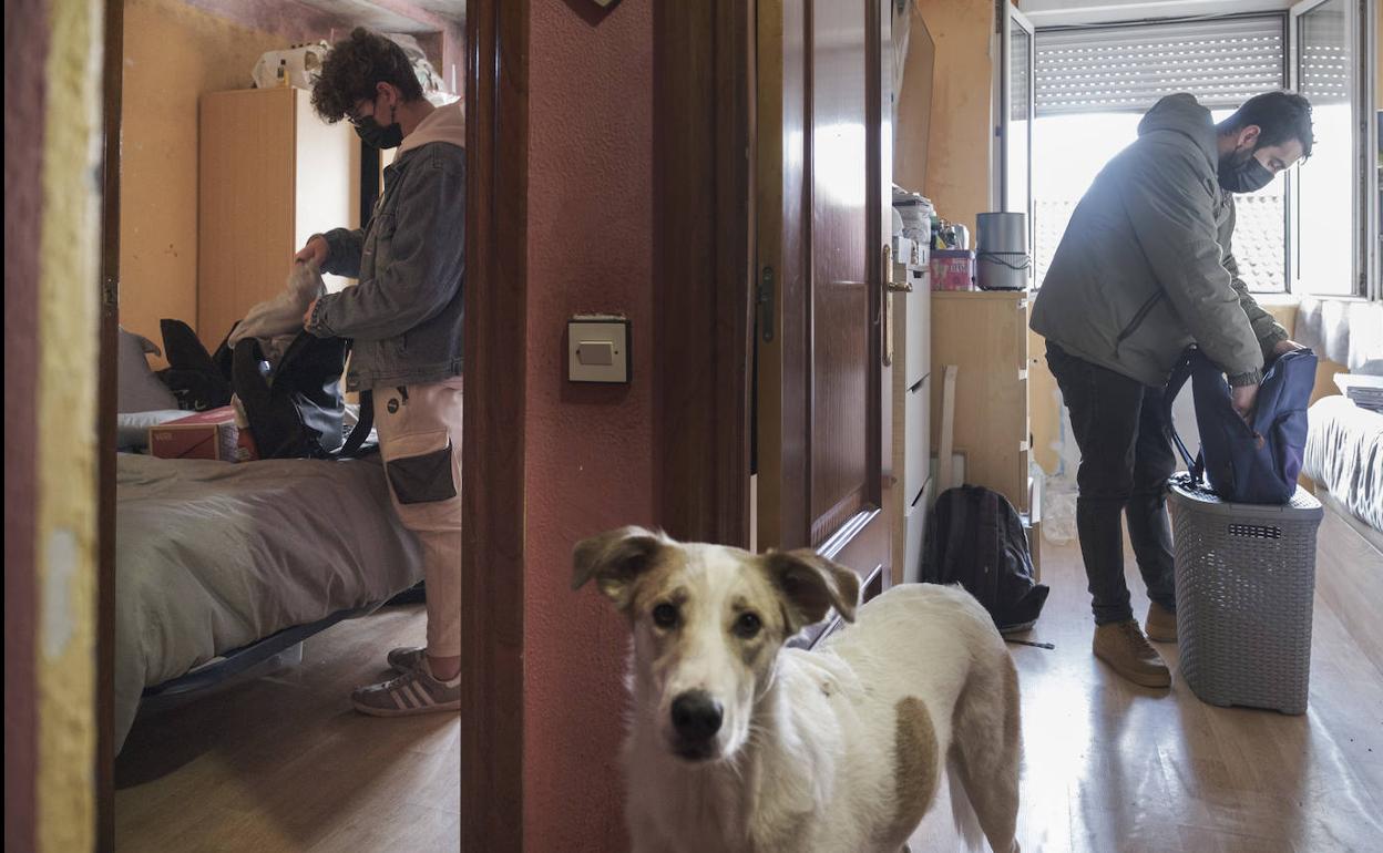 Los hermanos Santana, junto a su perro, en La Calzada. c.santos