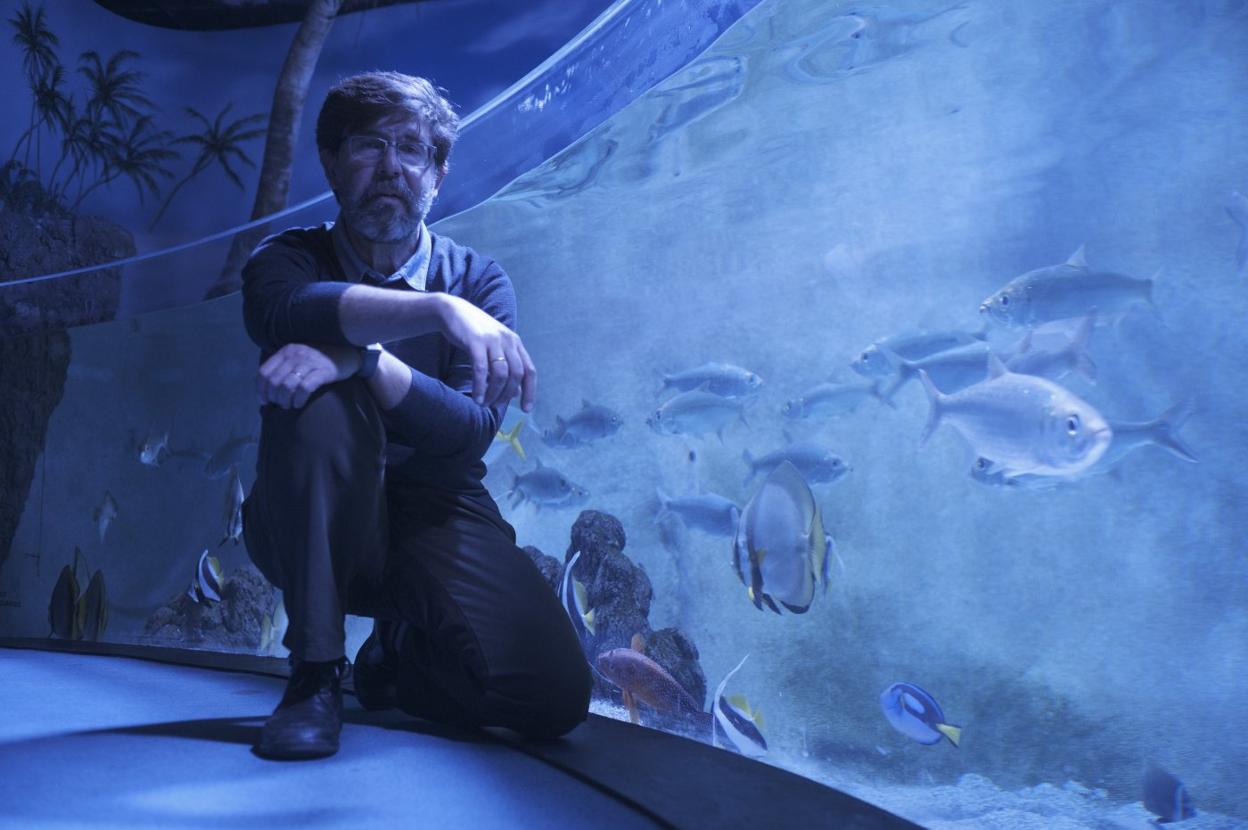 Daniel Pons, consejero delegado de Rain Forest, durante su visita al Acuario de Poniente. 