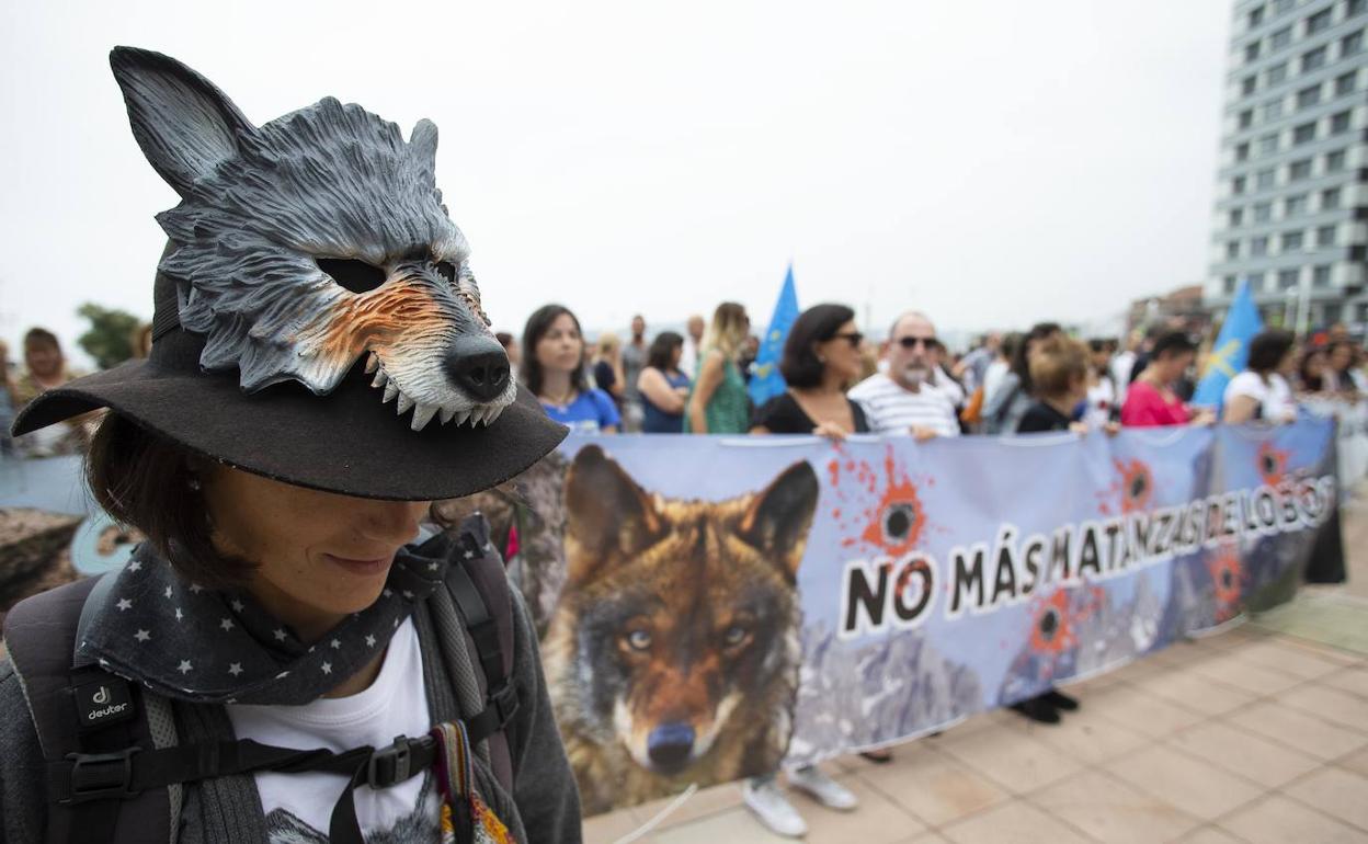 Grupos conservacionistas en una protesta para reclamar el fin del «sacrificio» de lobos en Asturias.