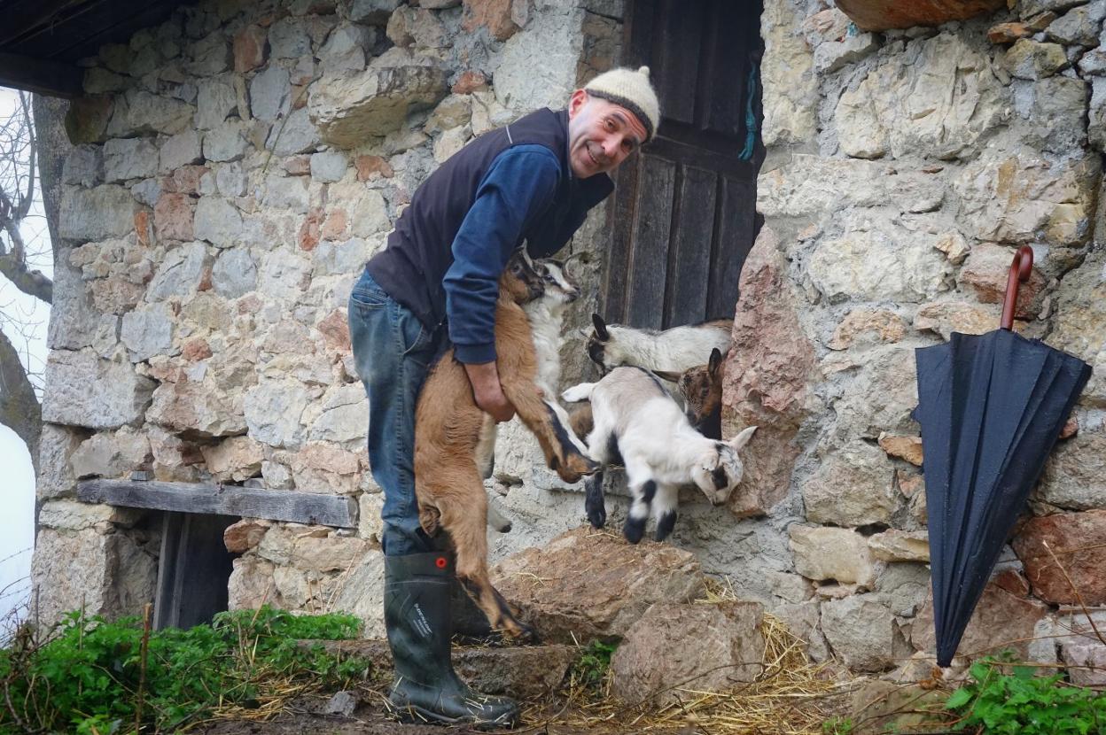 José Ramón González 'Pepitu', elaborador de Gamonéu del puerto, con sus cabras en La Huesera, en la subida a los Lagos de Covadonga. 