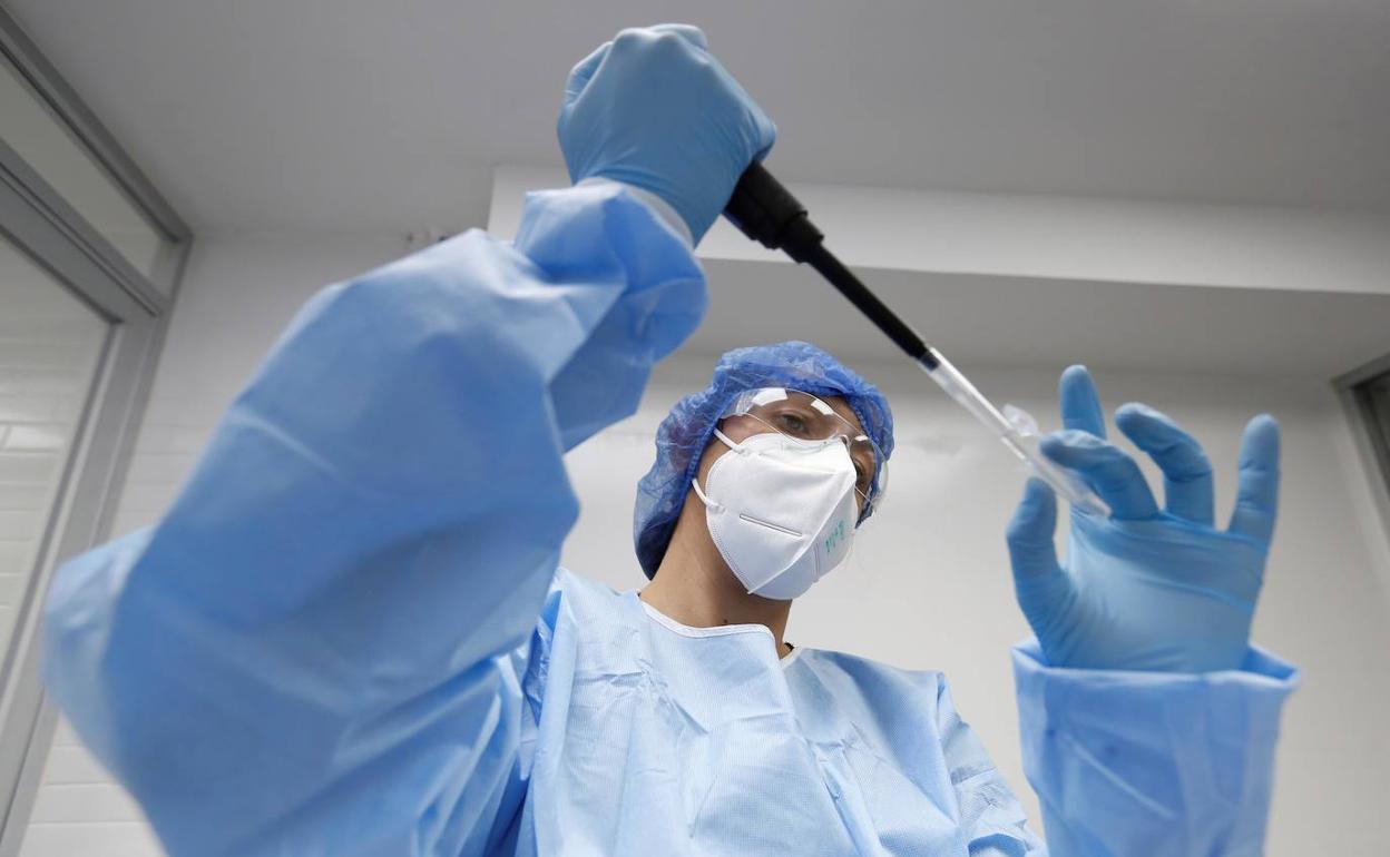 Científicos mexicanos analizan una posible nueva cepa de la covid-19