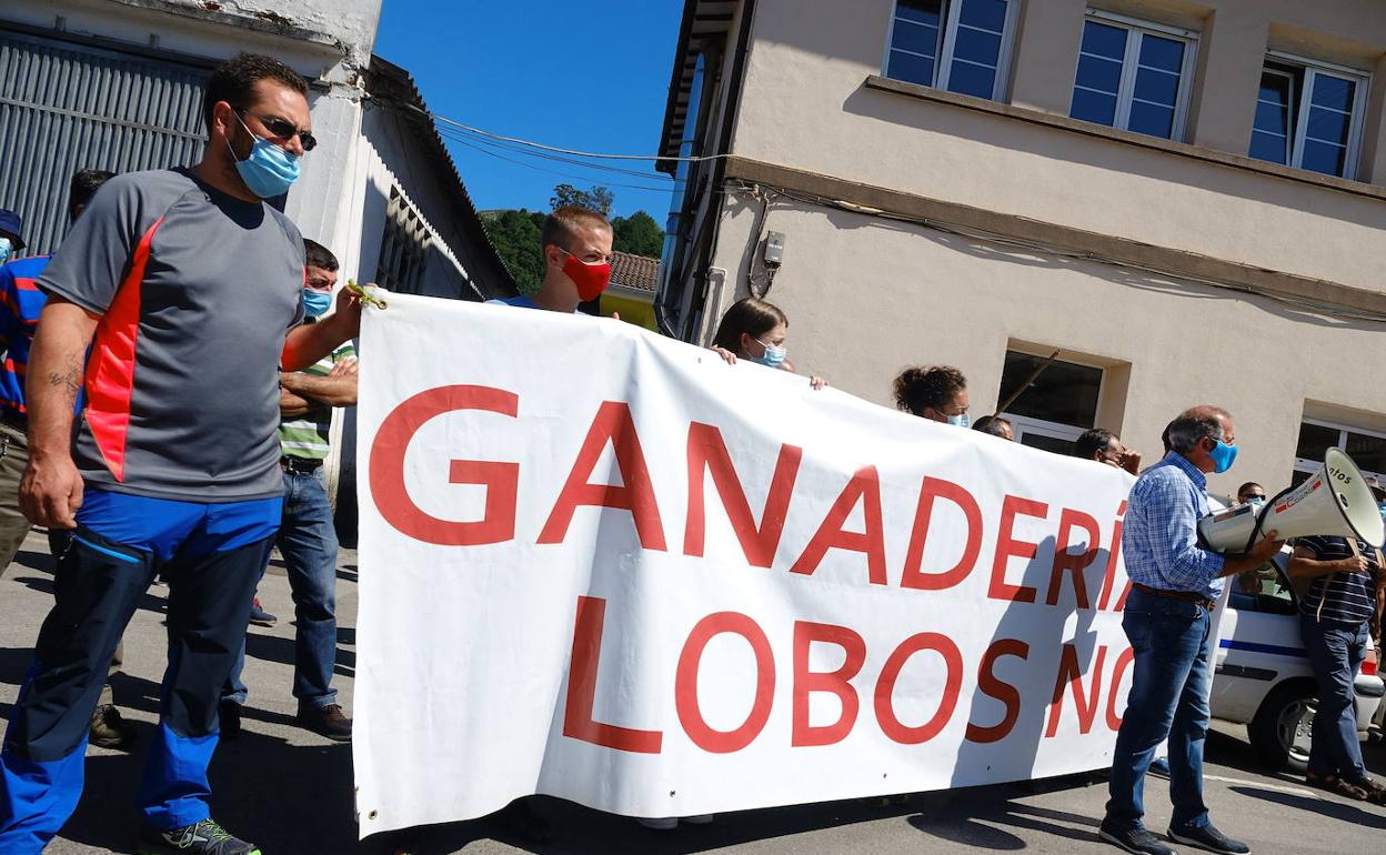 Manifestación celebrada el pasado verano en Cangas de Onís para reclamar cambios en la gestión del lobo