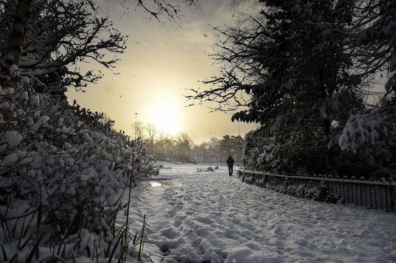 La nieve se ha dejado notar en los últimos días en distintos países como Alemania, Holanda o Estados Unidos. Las condiciones climatológicas, además de dejar unas imágenes llamativas, también han provocado alteraciones en la vida de sus ciudadanos.