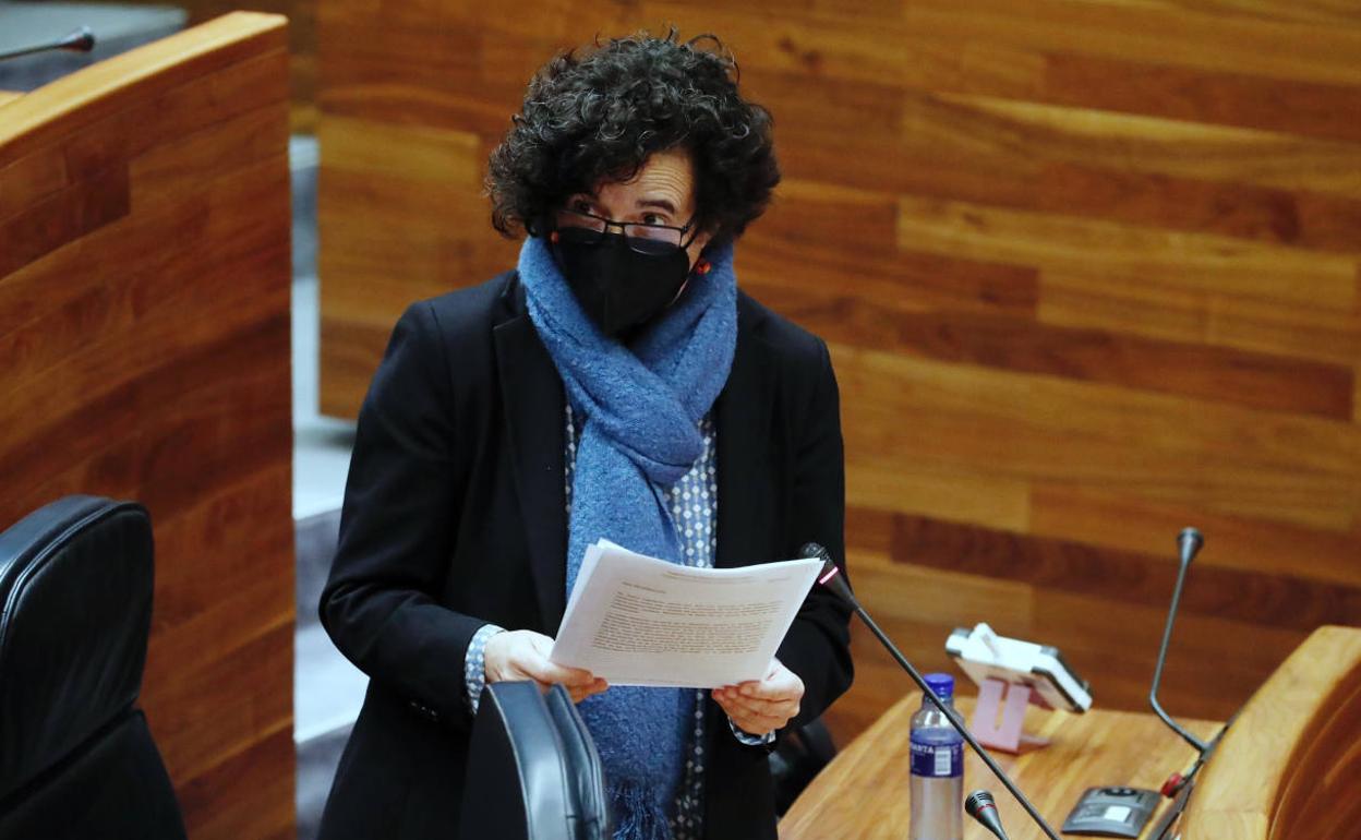 Berta Piñán, durante su comparecencia en la Junta.